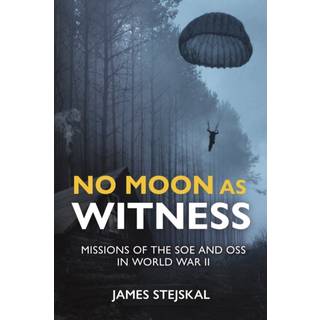 No Moon as Witness