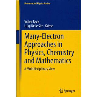 Many-Electron Approaches in Physics, Chemistry and Mathematics