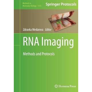 RNA Imaging