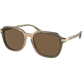 Coach HC8383U CL912 579773 55 Solbriller Mænd Brun - Transparent Gradient Light Brown Transpa - 55mm