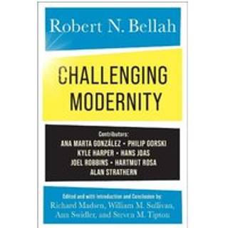 Challenging Modernity