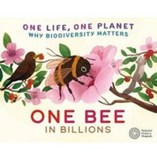 One Life, One Planet: One Bee in Billions