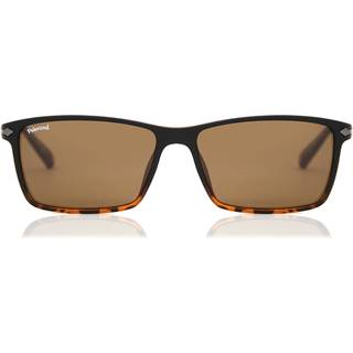 Montana Briller MP51 Polarized MP51B 57 Solbriller Mænd Tortoiseshell - Tortoise - 57mm