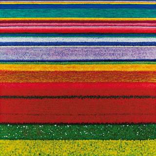 City and Colour - Little Hell