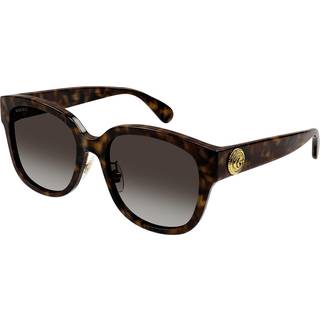 Gucci Kvinde GG1409SK 002 Solbriller Acetat Havana Brun Cat Eye Skygge
