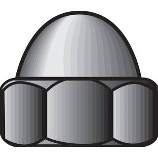 Nut Cap 5/16 """" SS 50PK (Pack of 1)