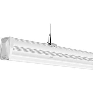 Noxion LED Skinnesystem NX-Line V2 35-50W 6300-9000lm 60D - 840 Kold Hvid | 1500mm - 8-Polet - UGR <19