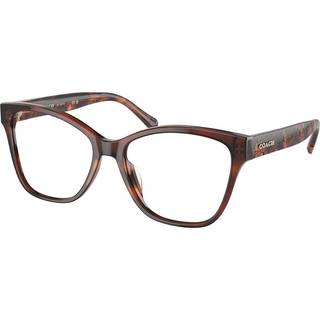Coach HC6207U Asian Fit 5561 54 Briller Kvinder Brun - Transparent Brown - 54mm