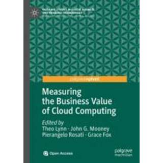 Measuring the Business Value of Cloud Computing
