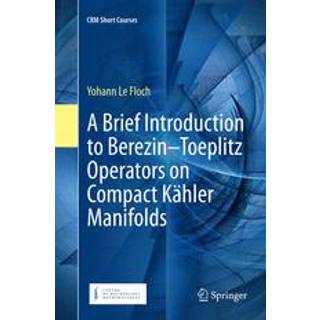 A Brief Introduction to Berezin–Toeplitz Operators on Compact Kahler Manifolds