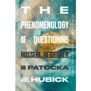 The Phenomenology of Questioning