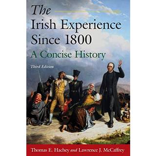The Irish Experience Since 1800: A Concise History