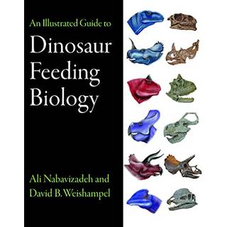 An Illustrated Guide to Dinosaur Feeding Biology