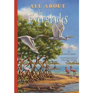 All About the Everglades