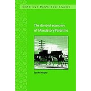 The Divided Economy of Mandatory Palestine