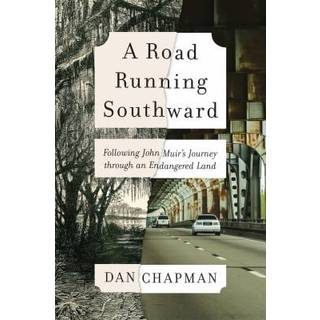 A Road Running Southward