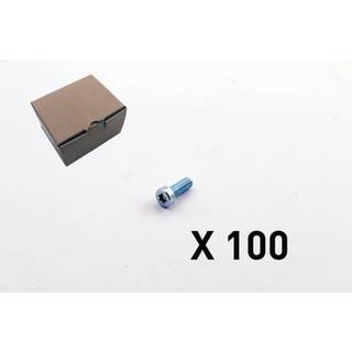 100 Cylinderskrue, torx, lavt hoved