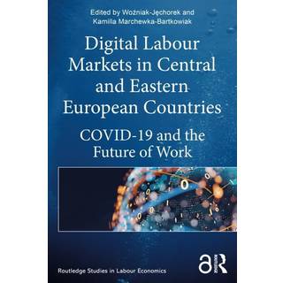 Digital Labour Markets in Central and Eastern European Countries