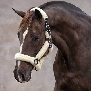 Grime Corrado Fairfield® Creme