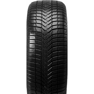 Aptany RC501 XL 205/50R17 93W