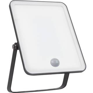 Ledvance - Floodlight Essential Sensor 30W - Facadebelysning