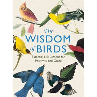 The Wisdom of Birds