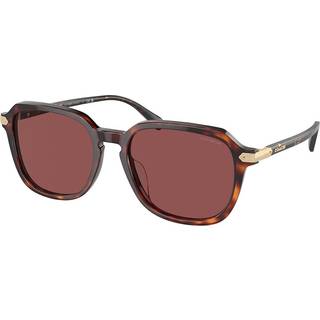 Coach HC8383U CL912 579875 55 Solbriller Mænd Tortoiseshell - Caramel Tortoise - 55mm