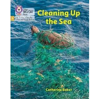 Cleaning up the Sea