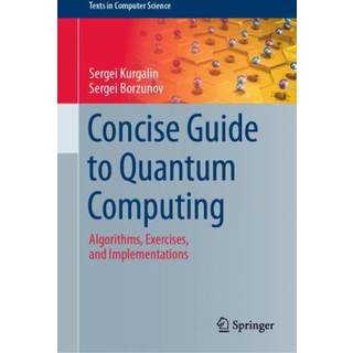 Concise Guide to Quantum Computing