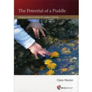 Potential of a Puddle