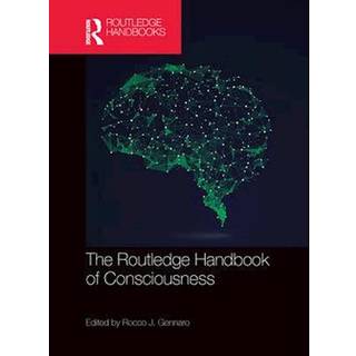 The Routledge Handbook of Consciousness