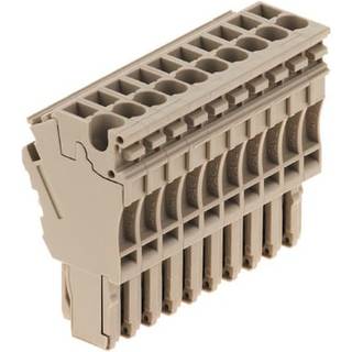 Weidmüller Stikklemme beige fjeder blok 10-poler