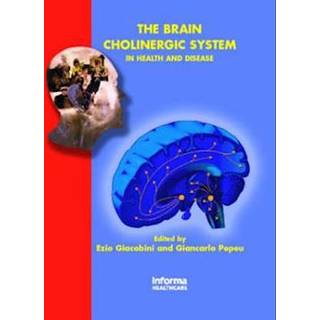 The Brain Cholinergic System (3, 2006) |