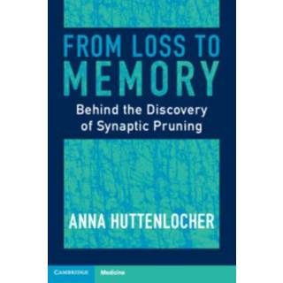 From Loss to Memory