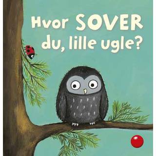 Hvor SOVER du, lille ugle? - Børnebog
