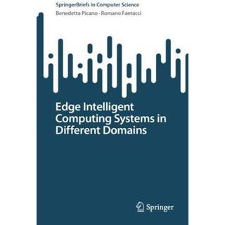 Edge Intelligent Computing Systems in Different Domains