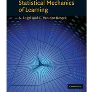 Statistical Mechanics of Learning