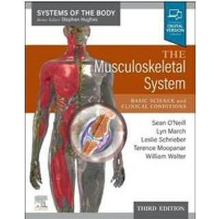 The Musculoskeletal System