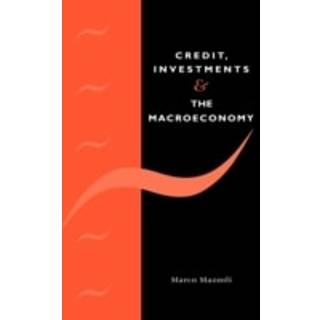 Credit, Investments and the Macroeconomy