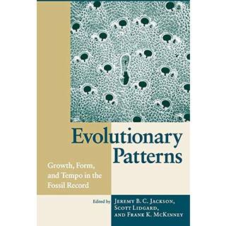Evolutionary Patterns
