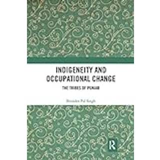 Indigeneity and Occupational Change