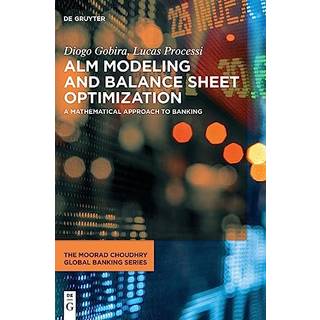 ALM Modeling and Balance Sheet Optimization