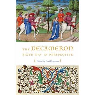 The Decameron Sixth Day in Perspective