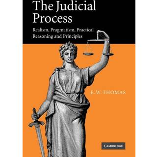 The Judicial Process