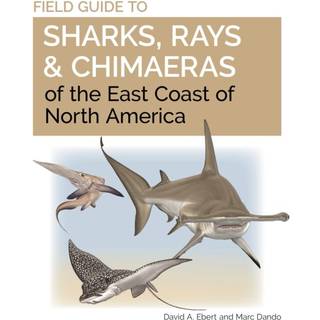 Field Guide to Sharks, Rays and Chimaeras of the East Coast of North America
