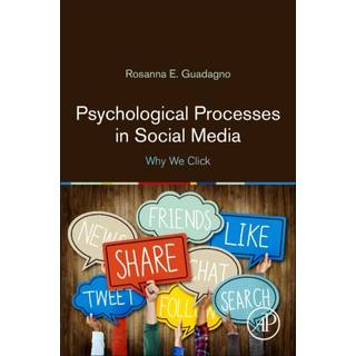 Psychological Processes in Social Media
