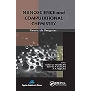 Nanoscience and Computational Chemistry