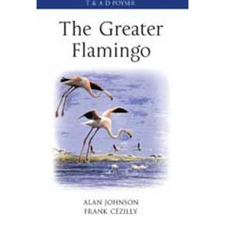 The Greater Flamingo
