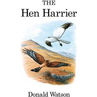 The Hen Harrier