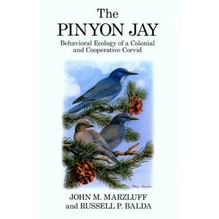 The Pinyon Jay